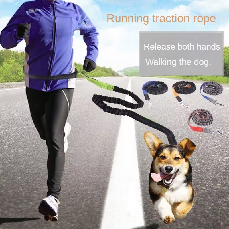 حزام مشي للكلاب بدون استخدام ا - مراجعة Running Belt Waist وسعره