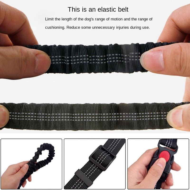 حزام مشي للكلاب بدون استخدام ا - مراجعة Running Belt Waist وسعره