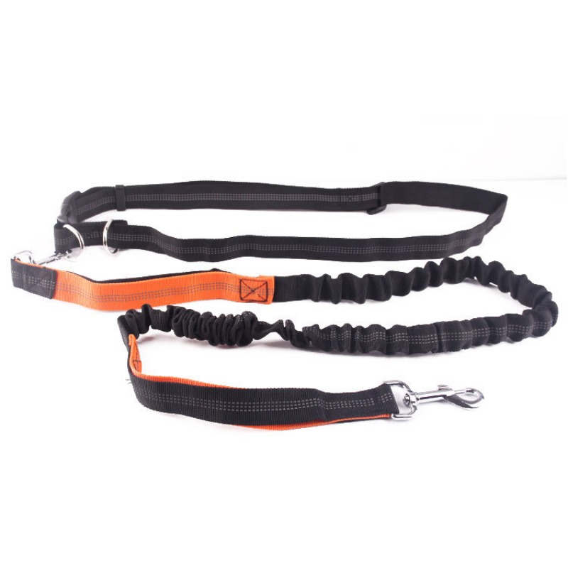 حزام مشي للكلاب بدون استخدام ا - مراجعة Running Belt Waist وسعره
