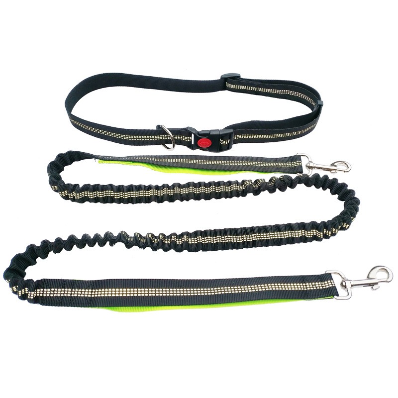 حزام مشي للكلاب بدون استخدام ا - مراجعة Running Belt Waist وسعره